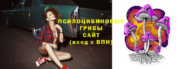хмурый Лагань