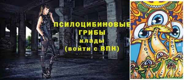 стаф Лабытнанги
