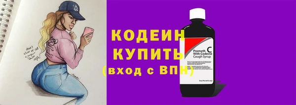 прущий лед Краснослободск