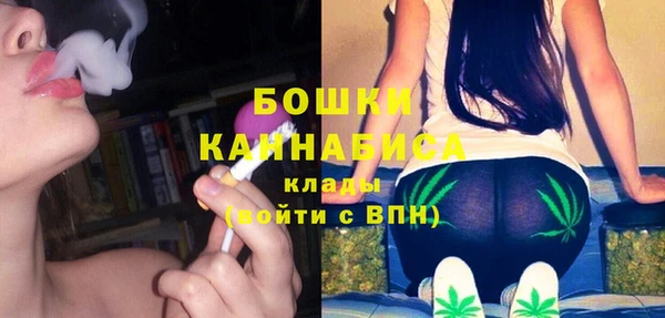 хмурый Лагань