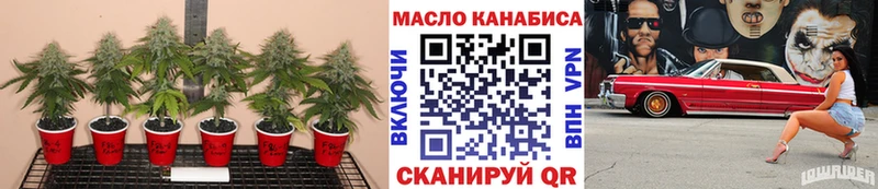 Дистиллят ТГК вейп с тгк  KRAKEN tor  Темников  закладки 