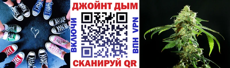 Бошки марихуана AK-47  купить наркоту  Темников 